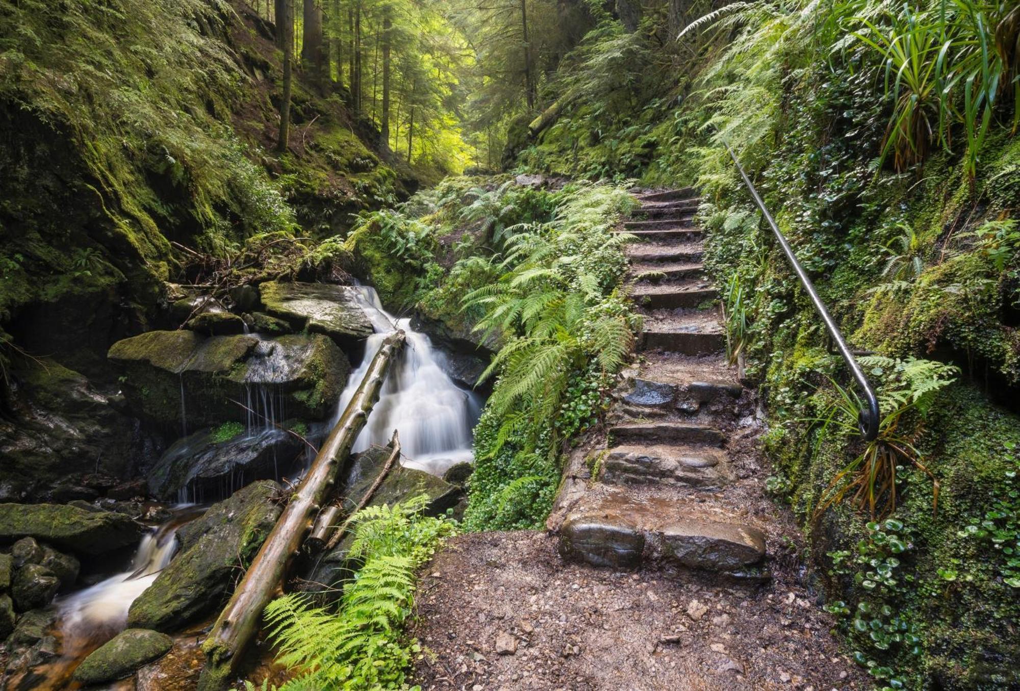 Loch View Lodge Данун Екстер'єр фото